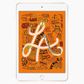 iPad Mini 5 256 GB