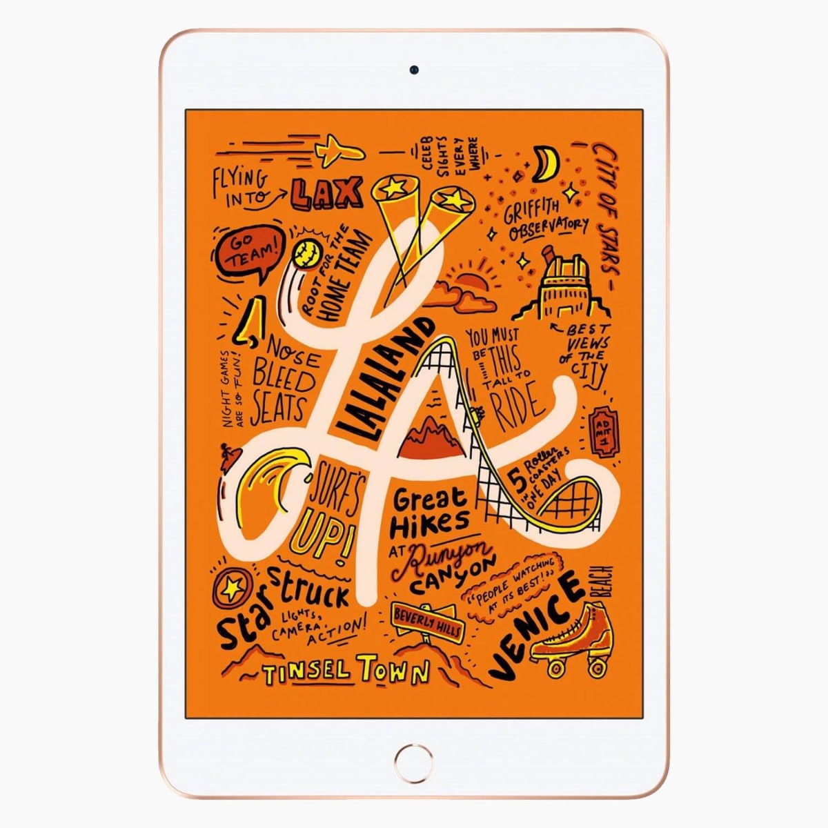 iPad Mini 5 256 GB